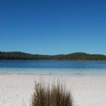 Bush at Lake McKenzie