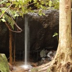 Waterfall in the Blue Mountains