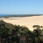 Huge dune, Fraser Island