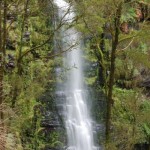 Erskine Falls