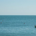 Cornish boats