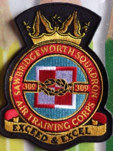 309 Squadron Badge