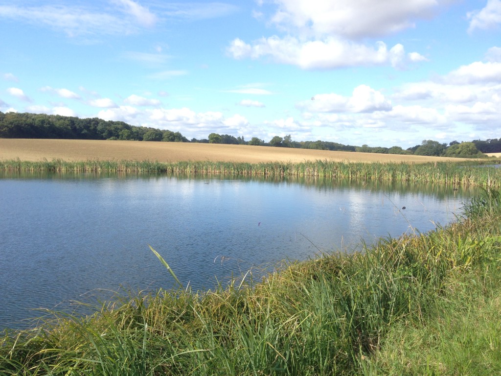 Eastern Lake