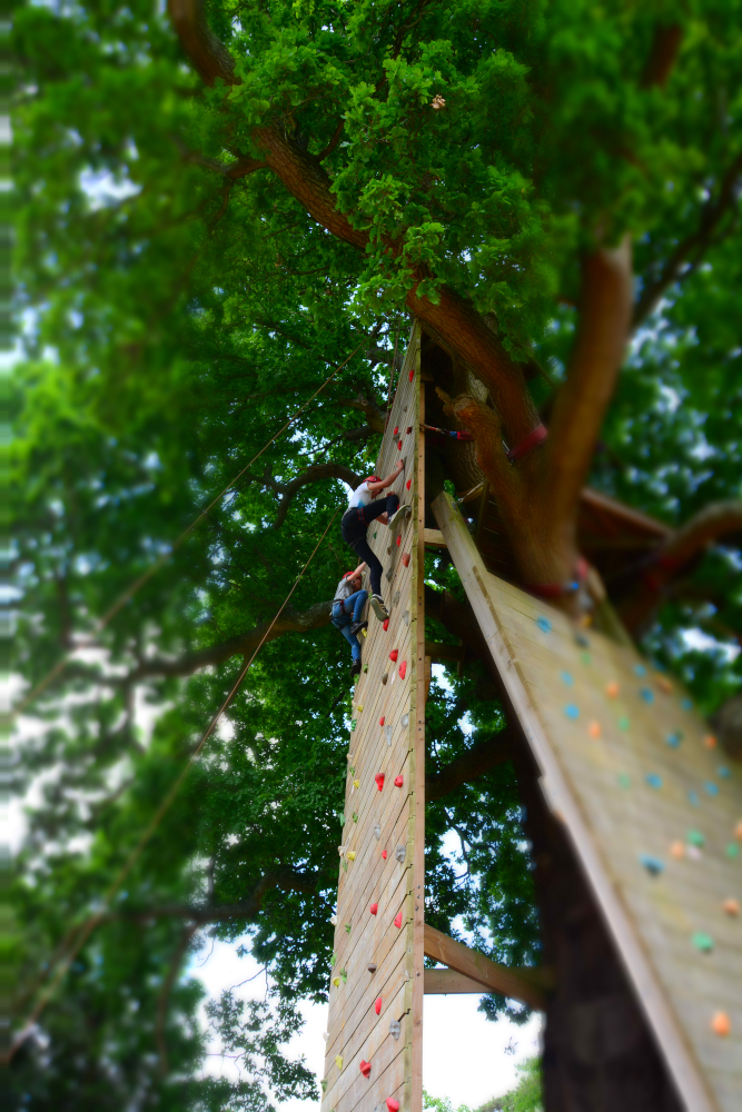 Climbing Wall