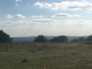 Top O' The Downs