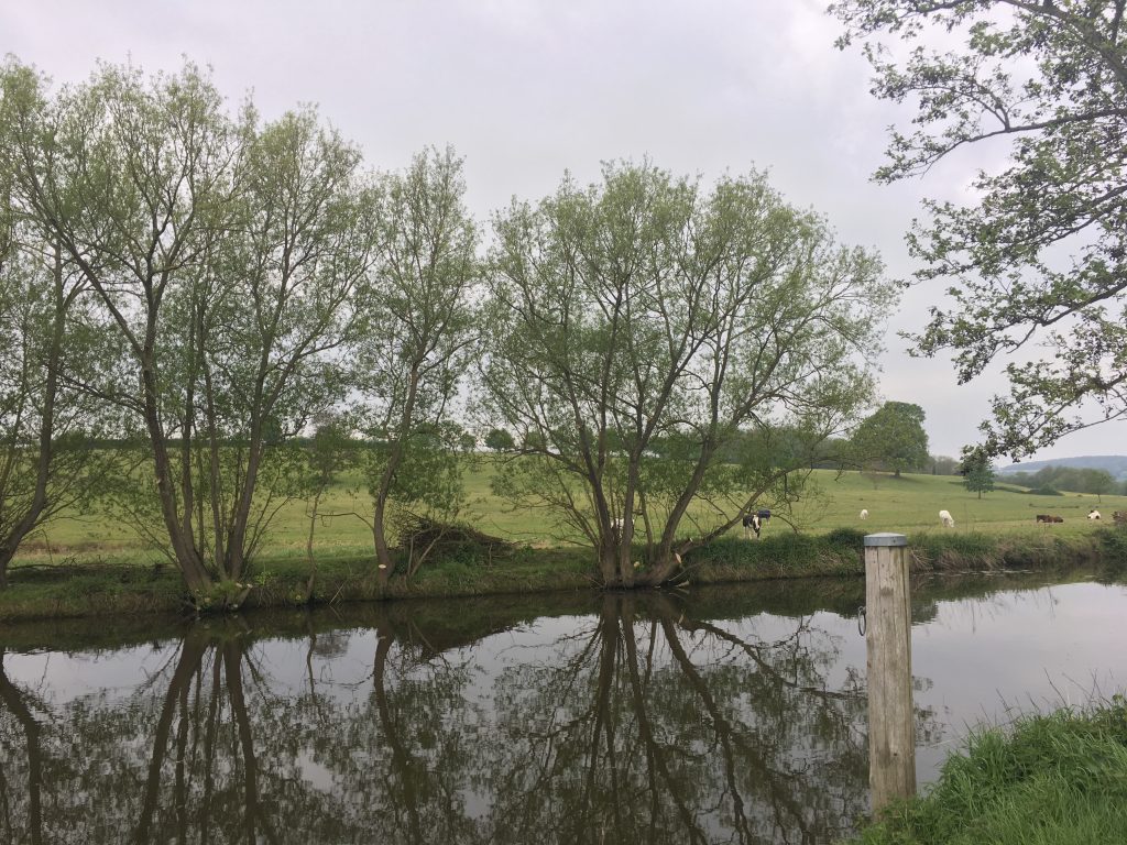 Teston Country Park