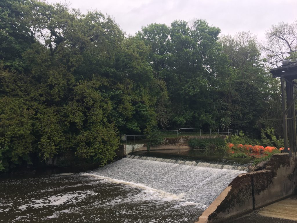 Teston Weir