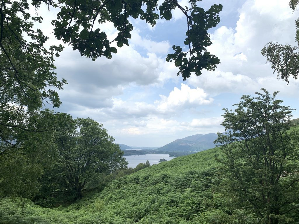 Derwentwater from the Ashness Bridge