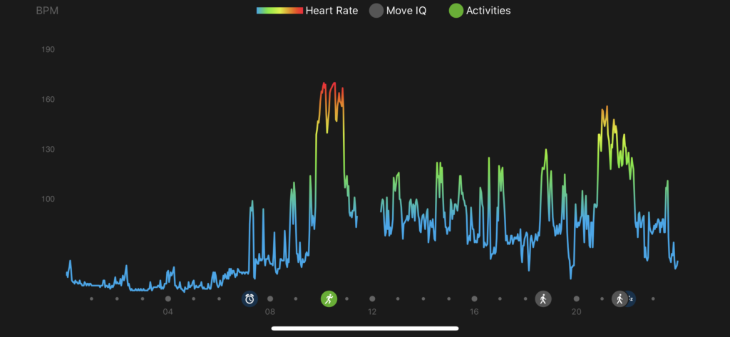 Gig Heart Rate