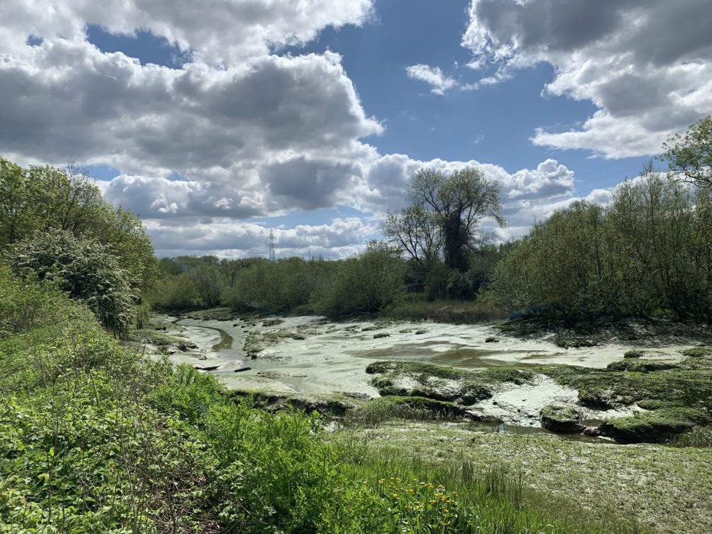 Gorgeous and Green