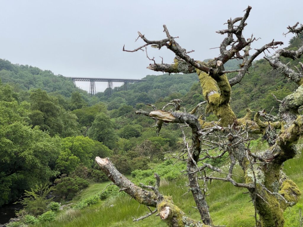 Meldon Viaduct - Okehampton