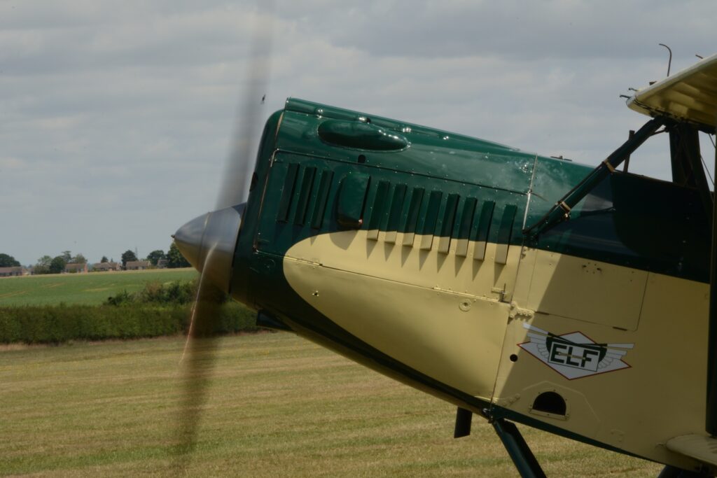 Not A Tiger Moth