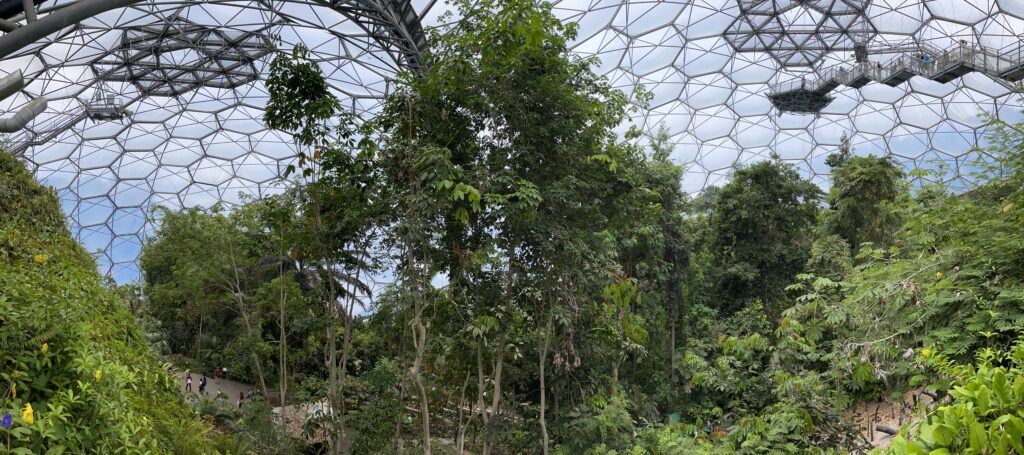 Tropical Biome - Eden Project