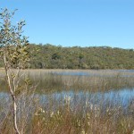 Lake, Fraser Island