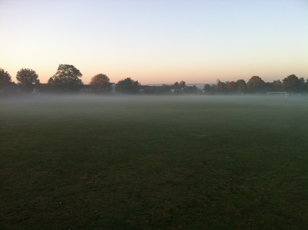 Low lying fog over the grass