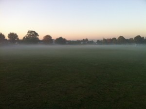 Low lying fog over the grass