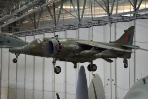 Harrier