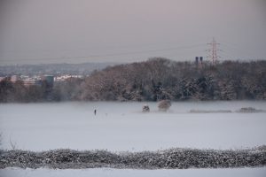 Winter Dog Walker