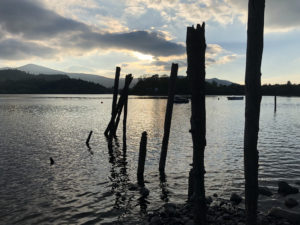 Derwentwater Withies