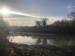 Medway Low Tide