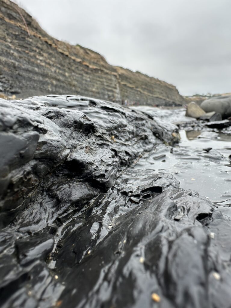 Rock Faces - Kimmeridge Bay, Dorset