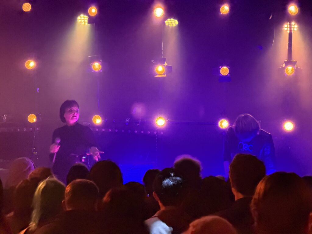 Promenade Cinema - Downstairs At The Dome