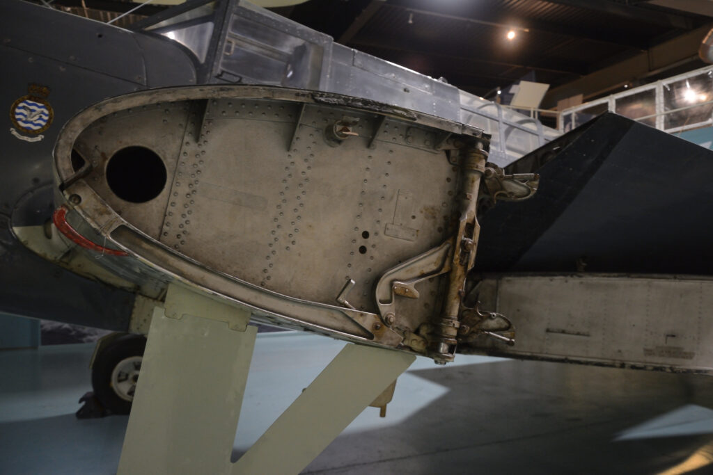 Fairy Fulmar - Wing Mechanism