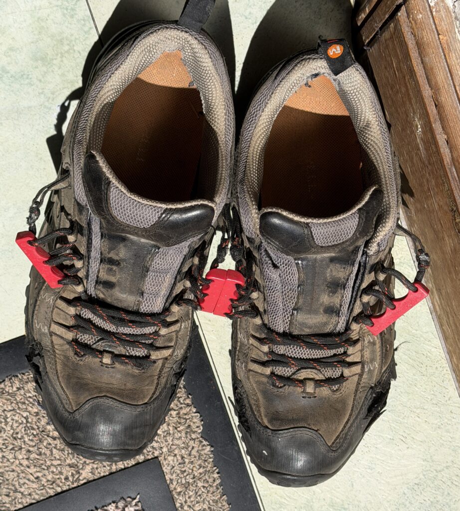 Farewell Old Friends
