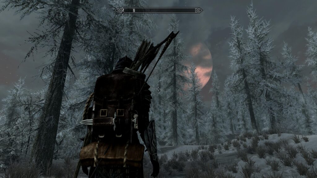Skyrim - My character looking at the moon